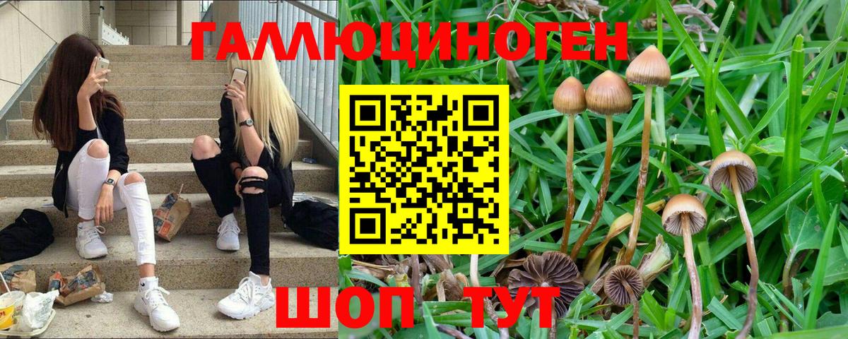 Галлюциногенные грибы мухоморы  Вход с VPN  Батайск 